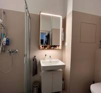 Bathroom with a sink, mirror, and shower in a studio apartment.