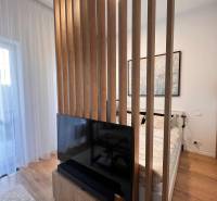 Interior of a 1-room apartment with a television, wooden partition, and floor with a wooden decor.