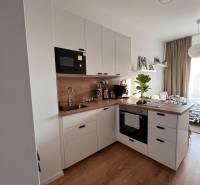 A kitchen in a studio apartment with built-in appliances and a floor with a wood decor.