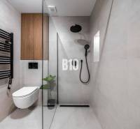 A minimalist bathroom with a toilet, shower, and black accessories in a 3-room apartment.