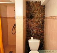 A bathroom in a cabin with a shower, toilet, and stone wall.
