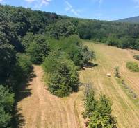 A meadow surrounded by trees in Čaradice suitable for commercial land, ideal location.