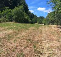 Meadow lands in Čaradice surrounded by trees, suitable for commercial use.