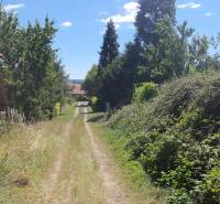 A natural path amidst greenery leading to commercial land in Čaradice.