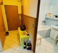 Hallway with bathroom entrance, tiled floor, 3-room apartment, wooden wall paneling.