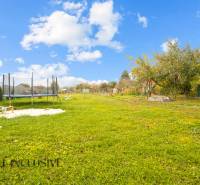 A garden in a family house in Dolné Saliby with a trampoline and fruit trees.