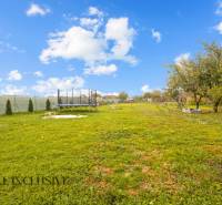 The garden of a family house in Dolné Saliby with a trampoline and fruit trees.