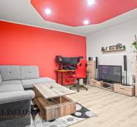 Living room in a family house with a red wall, gray sofa, and wooden decor flooring.