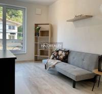 Living room in a three-room apartment with a wooden decor floor and large windows.