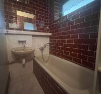 A bathroom in a family house with a bathtub, a sink, and red tiles.