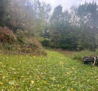 A garden with a lawn and trees behind a family house in Divín on Divín Street.