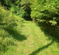 A green path surrounded by vegetation on recreational grounds in Žilina.