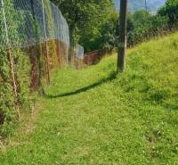 A grassy path on the Recreational Grounds in Žilina, fenced with wire mesh and trees.