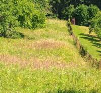 Greenery and grass on recreational plots in Žilina in a natural environment.