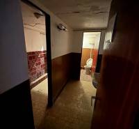 A dark hallway with tiles and a toilet in a family house.