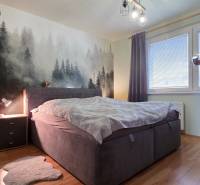 Bedroom in a 3-room apartment with a forest decor and wooden decor flooring.