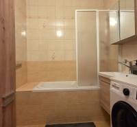 A bathroom in a 3-room apartment with a shower, bathtub, and washing machine.