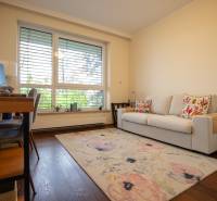 A room in a 3-room apartment with a carpet, a sofa, and a floor with a wooden decor.