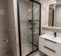 A bathroom with a shower and a sink in a 3-room apartment.