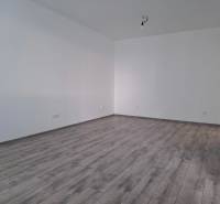An empty room with a wood-patterned floor in a three-room apartment, white walls.