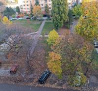 Trees and a parking lot in autumn in Bratislava - Ružinov near a three-room apartment.