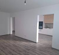 Living room with kitchen, wooden decor flooring, 3-room apartment.