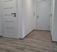 A hallway of a 3-room apartment with a wooden decor floor and white doors.