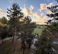 View from a 3-room apartment on MDŽ 1848/33 Street in Šurany, trees and a meadow.