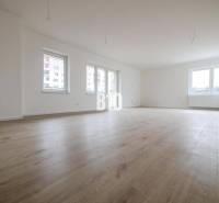 Spacious 3-room apartment with windows, wooden floor, and white walls.
