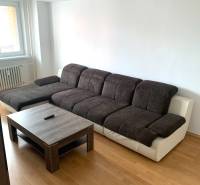 Living room in a 2-room apartment with a dark sofa and a wooden decor floor.