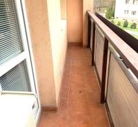 A balcony in a 2-room apartment with terracotta tiles and a view of greenery.