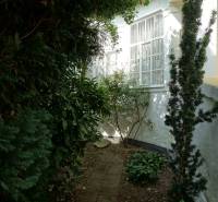 The garden of the family house on Hviezdoslavova Street in Piešťany, surrounded by greenery and shrubs.