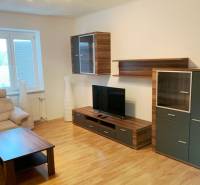 Living room in a two-room apartment with a wooden decor floor and wooden furniture.