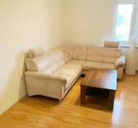 A bright living room with a sofa and a table in a 2-room apartment, flooring with a wood decor.