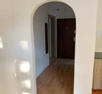 An arched passage in a 2-room apartment with a wood-patterned floor.