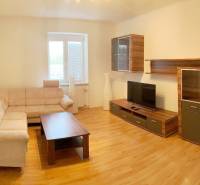 Living room in a 2-room apartment with a sofa and a wooden decor floor.