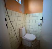 A toilet in a family house with an orange wall and tiles.