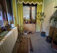 Interior of a family house with flowers, a bicycle, green curtains, and carpets.