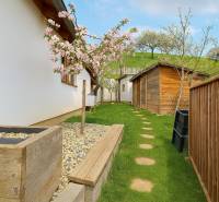 Garden at the family house in Banská Štiavnica at 8. mája 2810/6A, with a blooming tree and a wooden cottage.