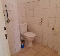 Bathroom in a studio apartment with tiles and a standard toilet.
