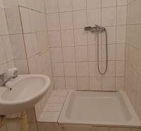 A bathroom with white tiles and a shower in a studio apartment.
