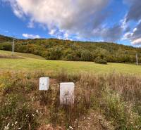 Greenery and control cabinets on a residential plot in Margecany surrounded by hills.