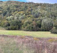 Grassland plots for housing in Margecany, surrounded by greenery and forests.