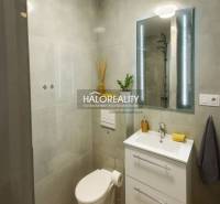 A bathroom in a studio apartment with modern equipment and a stylish sink.