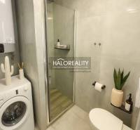 Bathroom in a studio apartment with a shower and a washing machine, floor with wooden decor.