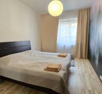 Bedroom with a large bed and a wall with a forest wallpaper, floor with a wooden decor.