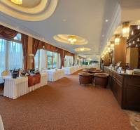 Luxurious room with a bar, tables, and leather armchairs, floor with wooden decor.