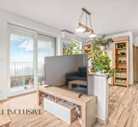 Interior of a 3-room apartment with wood-patterned flooring, a television, and houseplants.