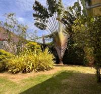 The garden of the villa in Pattaya with a green lawn and exotic plants.