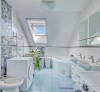 A bathroom with a skylight, a washing machine, and a bathtub in a family house.